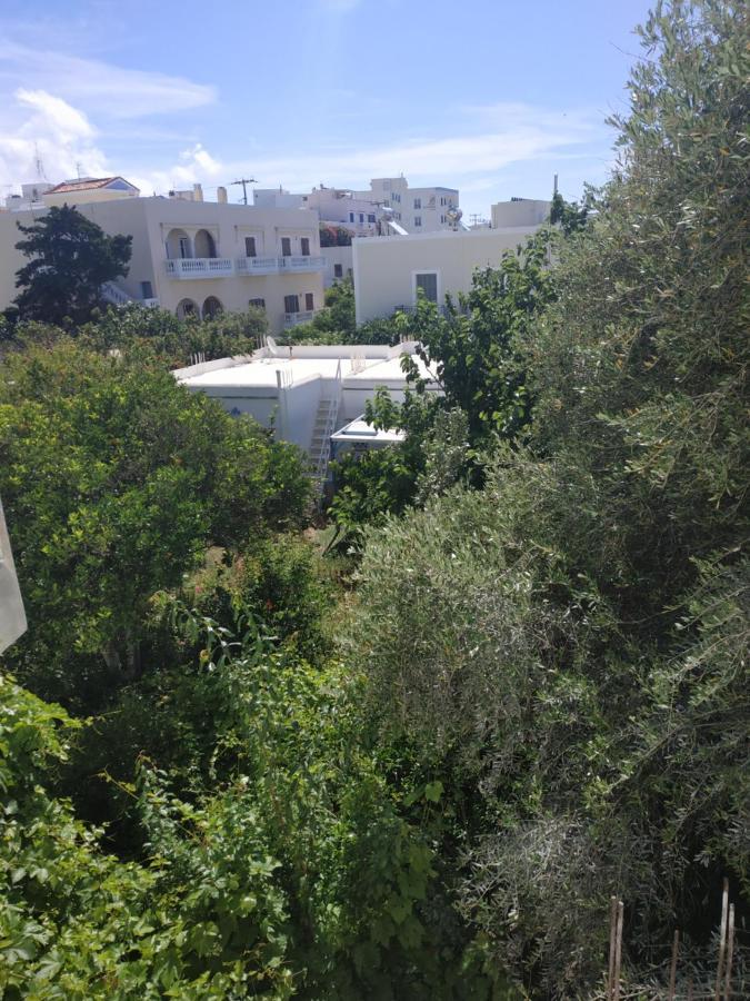 Enalion-Tinos Bed & Breakfast Dış mekan fotoğraf