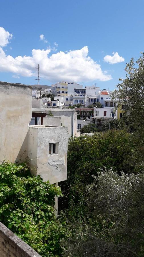 Enalion-Tinos Bed & Breakfast Dış mekan fotoğraf